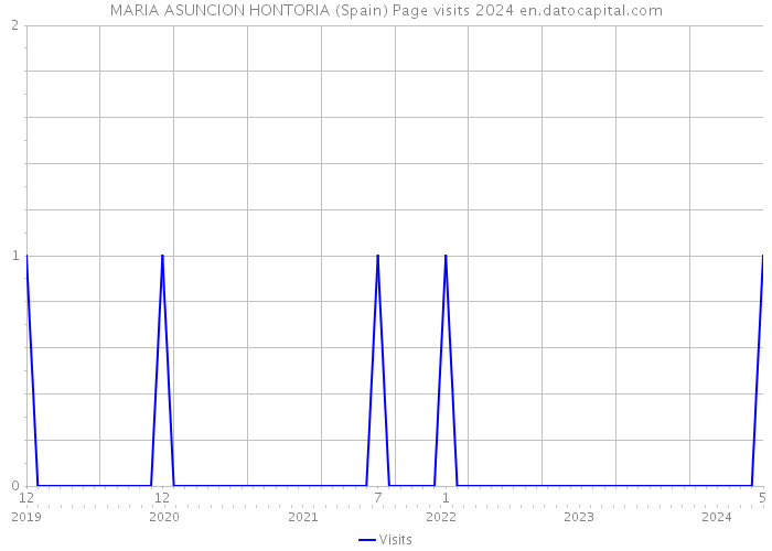 MARIA ASUNCION HONTORIA (Spain) Page visits 2024 