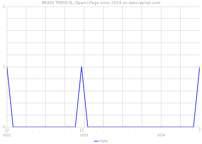 BRAIN TRENS SL (Spain) Page visits 2024 