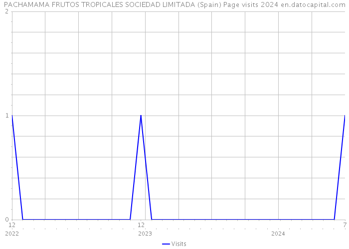 PACHAMAMA FRUTOS TROPICALES SOCIEDAD LIMITADA (Spain) Page visits 2024 