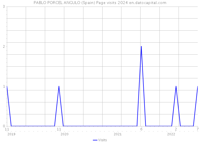 PABLO PORCEL ANGULO (Spain) Page visits 2024 