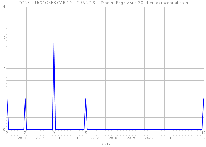 CONSTRUCCIONES CARDIN TORANO S.L. (Spain) Page visits 2024 