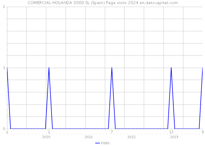COMERCIAL HOLANDA 3000 SL (Spain) Page visits 2024 