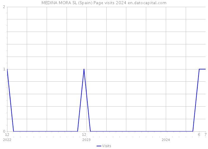 MEDINA MORA SL (Spain) Page visits 2024 