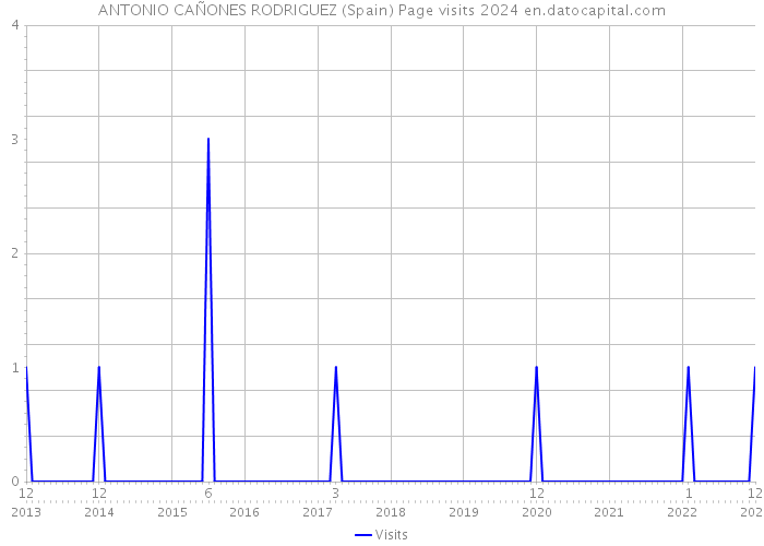 ANTONIO CAÑONES RODRIGUEZ (Spain) Page visits 2024 