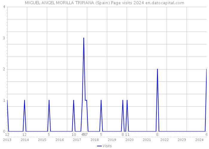 MIGUEL ANGEL MORILLA TRIPIANA (Spain) Page visits 2024 