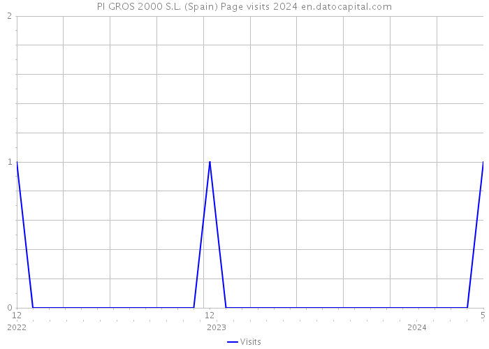 PI GROS 2000 S.L. (Spain) Page visits 2024 