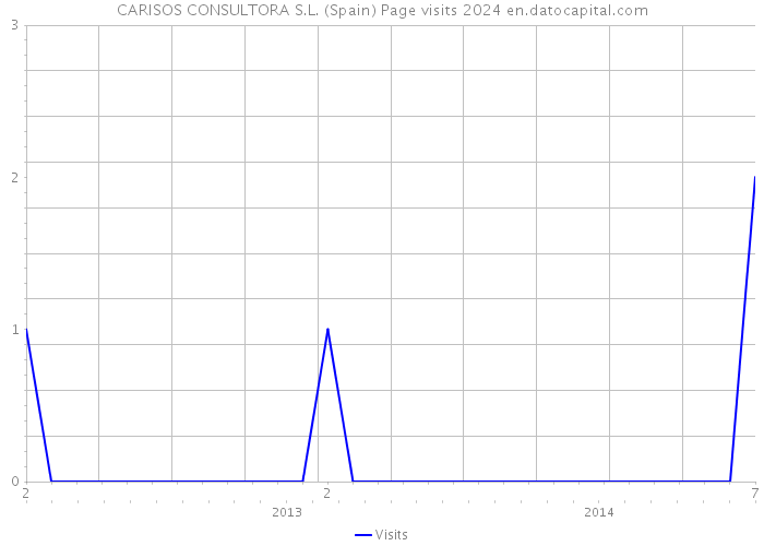 CARISOS CONSULTORA S.L. (Spain) Page visits 2024 