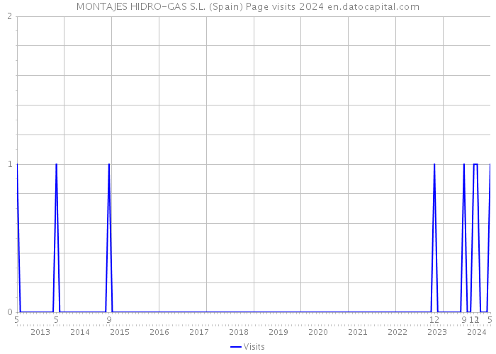 MONTAJES HIDRO-GAS S.L. (Spain) Page visits 2024 