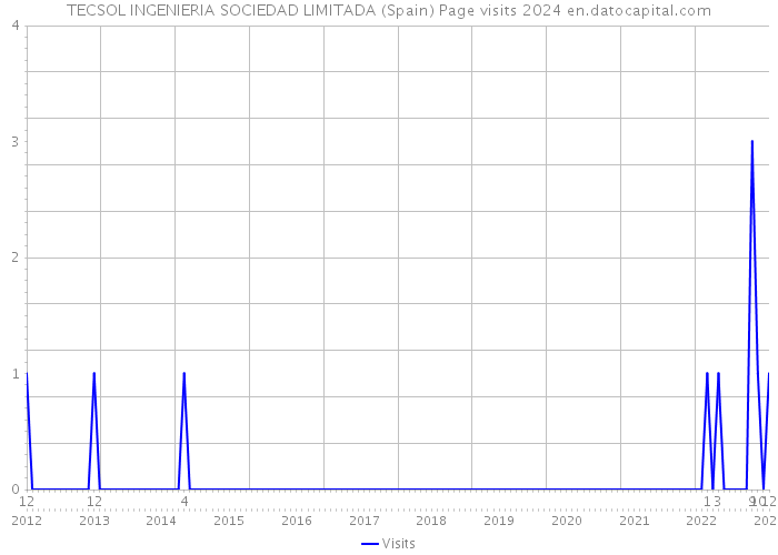 TECSOL INGENIERIA SOCIEDAD LIMITADA (Spain) Page visits 2024 