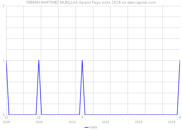 FERMIN MARTINEZ MURILLAS (Spain) Page visits 2024 