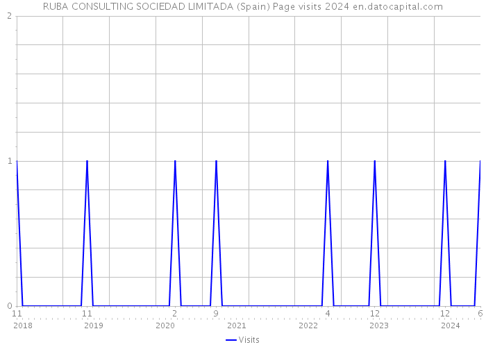 RUBA CONSULTING SOCIEDAD LIMITADA (Spain) Page visits 2024 