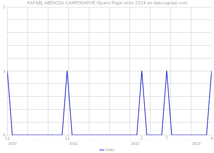 RAFAEL ABENOZA CAMPODARVE (Spain) Page visits 2024 