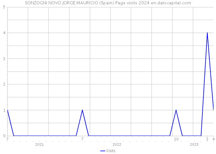 SONZOGNI NOVO JORGE MAURICIO (Spain) Page visits 2024 
