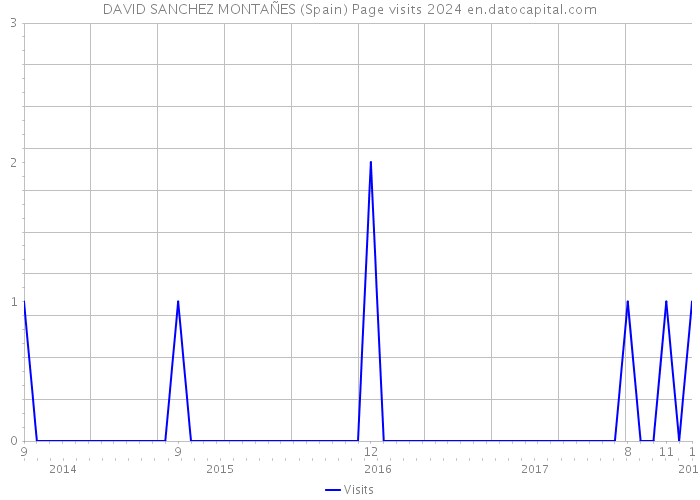 DAVID SANCHEZ MONTAÑES (Spain) Page visits 2024 