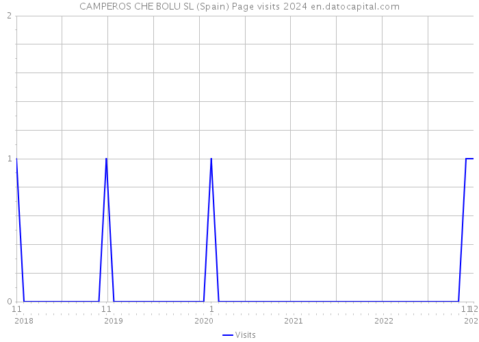 CAMPEROS CHE BOLU SL (Spain) Page visits 2024 