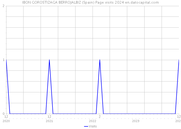 IBON GOROSTIZAGA BERROJALBIZ (Spain) Page visits 2024 