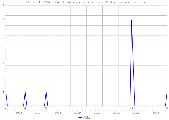 PEDRO JULIO SAEZ LASHERAS (Spain) Page visits 2024 