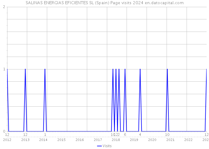 SALINAS ENERGIAS EFICIENTES SL (Spain) Page visits 2024 