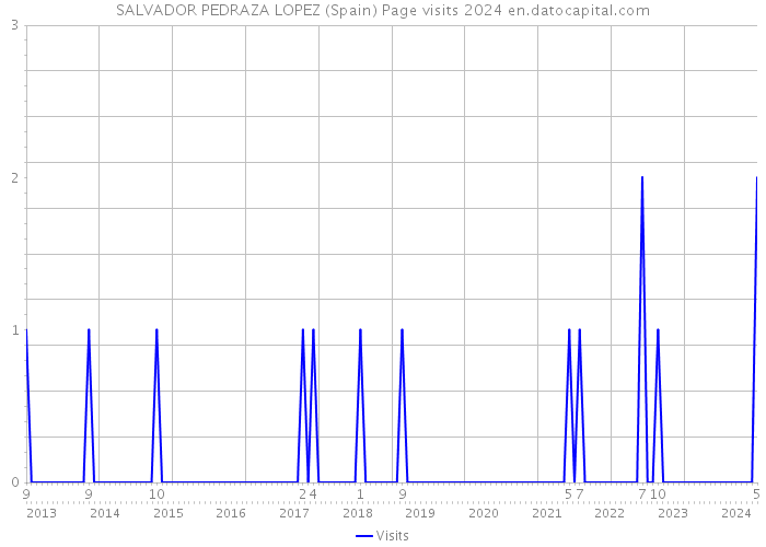 SALVADOR PEDRAZA LOPEZ (Spain) Page visits 2024 