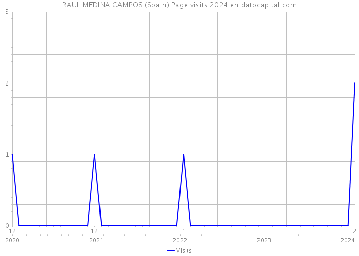 RAUL MEDINA CAMPOS (Spain) Page visits 2024 
