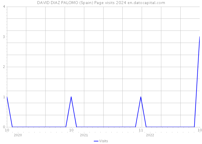 DAVID DIAZ PALOMO (Spain) Page visits 2024 