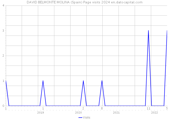 DAVID BELMONTE MOLINA (Spain) Page visits 2024 