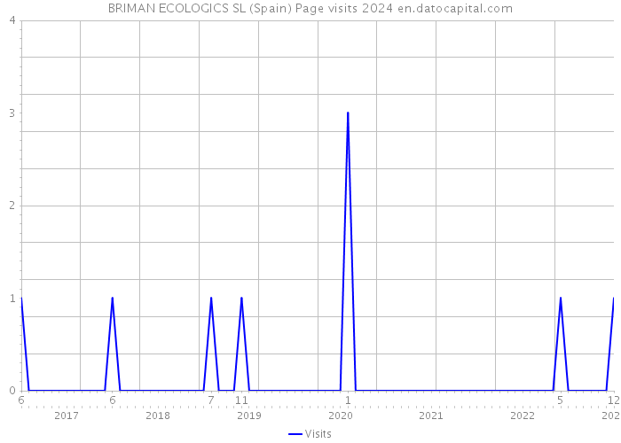 BRIMAN ECOLOGICS SL (Spain) Page visits 2024 