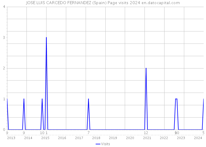 JOSE LUIS CARCEDO FERNANDEZ (Spain) Page visits 2024 