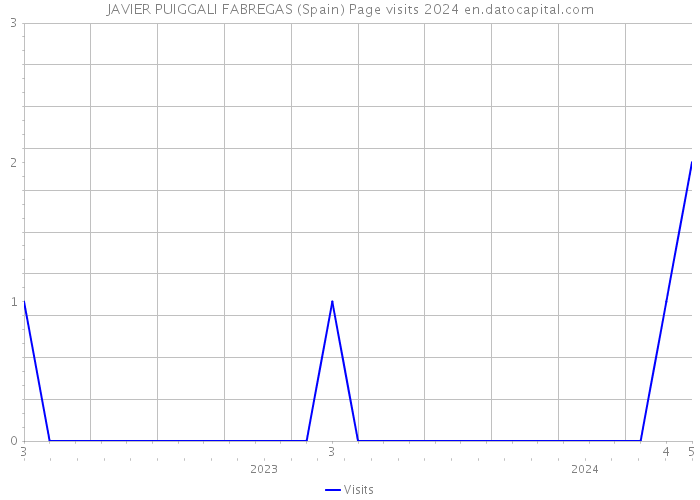 JAVIER PUIGGALI FABREGAS (Spain) Page visits 2024 