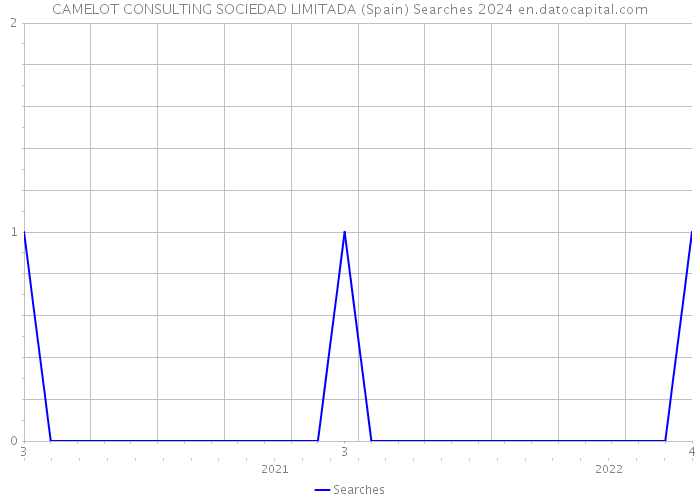 CAMELOT CONSULTING SOCIEDAD LIMITADA (Spain) Searches 2024 