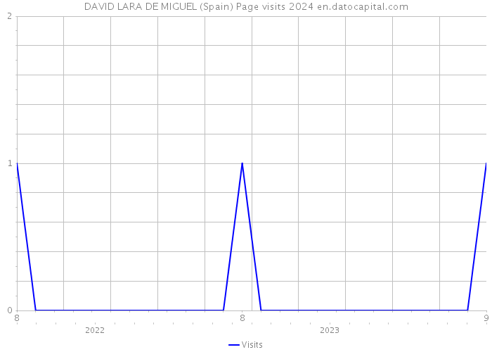 DAVID LARA DE MIGUEL (Spain) Page visits 2024 
