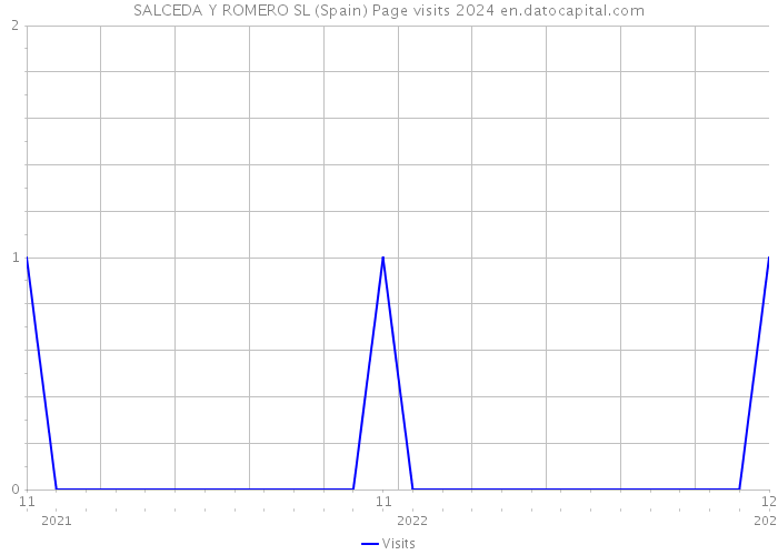 SALCEDA Y ROMERO SL (Spain) Page visits 2024 