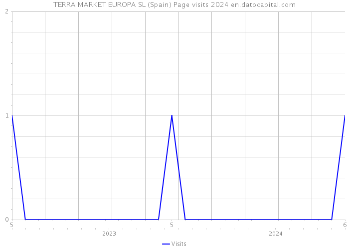 TERRA MARKET EUROPA SL (Spain) Page visits 2024 
