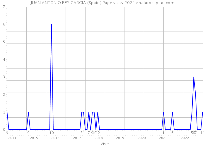 JUAN ANTONIO BEY GARCIA (Spain) Page visits 2024 