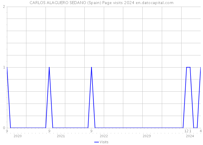 CARLOS ALAGUERO SEDANO (Spain) Page visits 2024 
