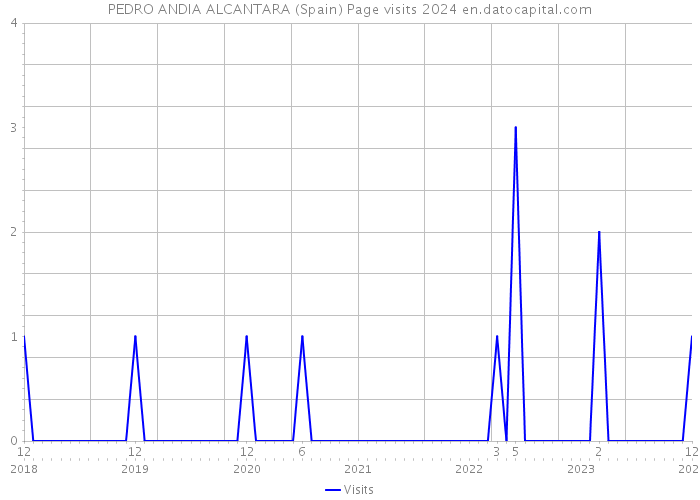 PEDRO ANDIA ALCANTARA (Spain) Page visits 2024 