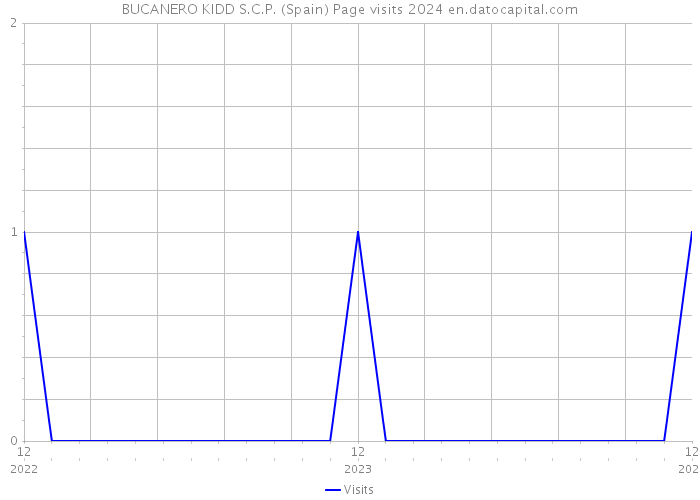 BUCANERO KIDD S.C.P. (Spain) Page visits 2024 