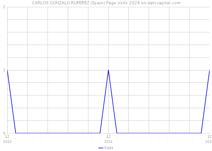 CARLOS GONZALO RUPEREZ (Spain) Page visits 2024 