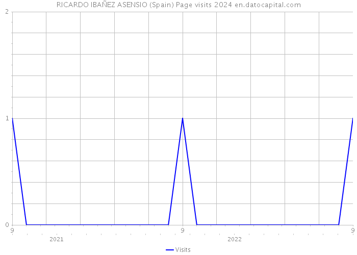 RICARDO IBAÑEZ ASENSIO (Spain) Page visits 2024 