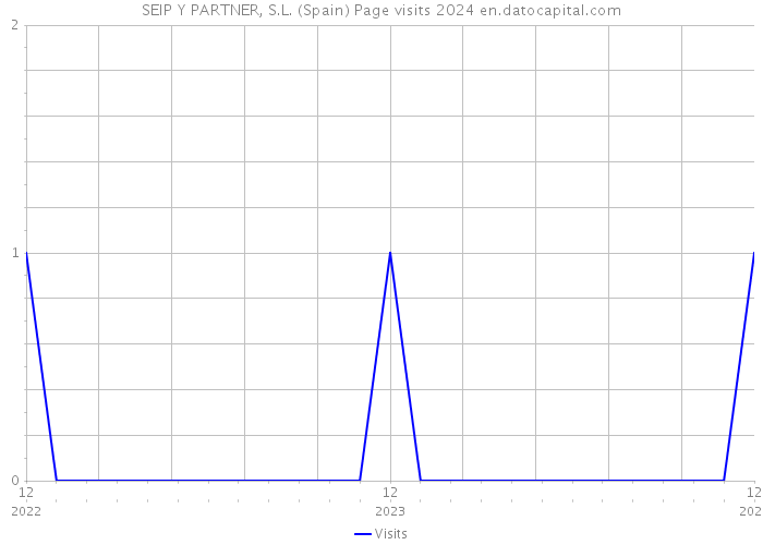 SEIP Y PARTNER, S.L. (Spain) Page visits 2024 