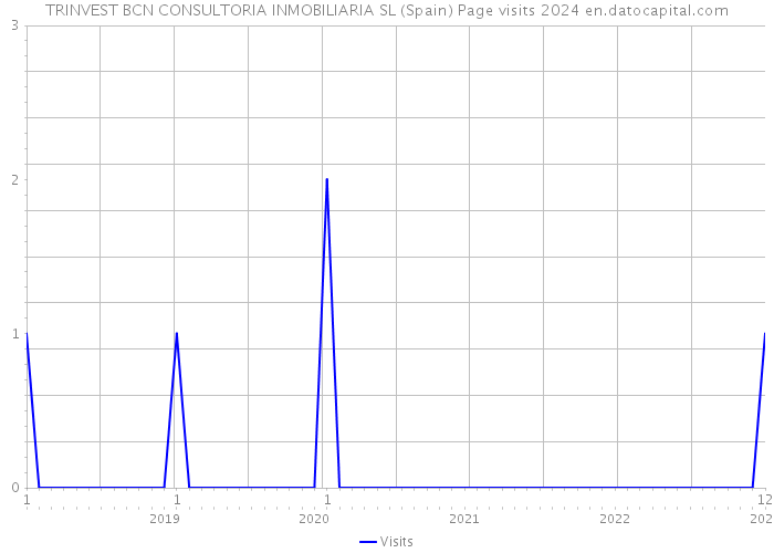 TRINVEST BCN CONSULTORIA INMOBILIARIA SL (Spain) Page visits 2024 