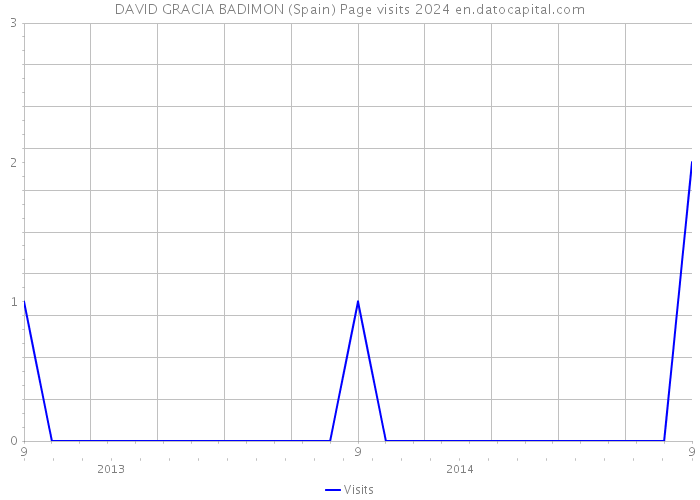 DAVID GRACIA BADIMON (Spain) Page visits 2024 