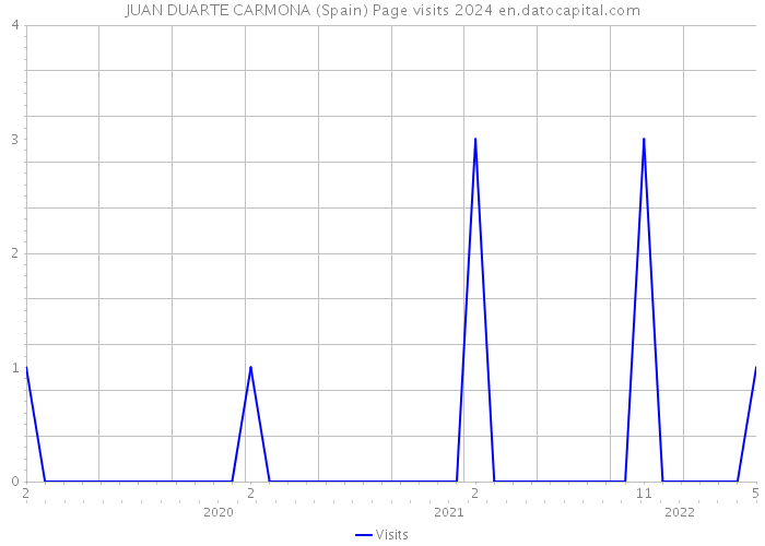 JUAN DUARTE CARMONA (Spain) Page visits 2024 