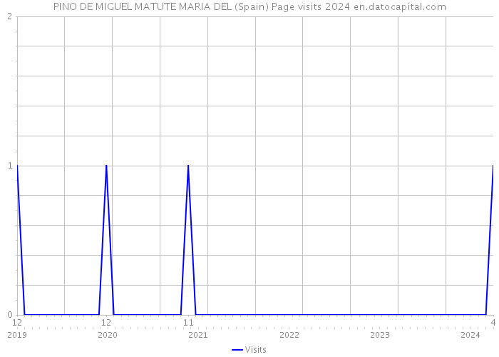 PINO DE MIGUEL MATUTE MARIA DEL (Spain) Page visits 2024 