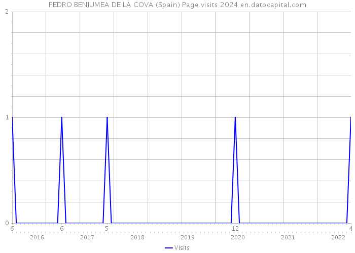 PEDRO BENJUMEA DE LA COVA (Spain) Page visits 2024 