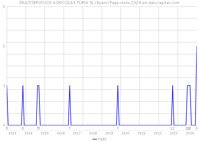 MULTISERVICIOS AGRICOLAS TURIA SL (Spain) Page visits 2024 