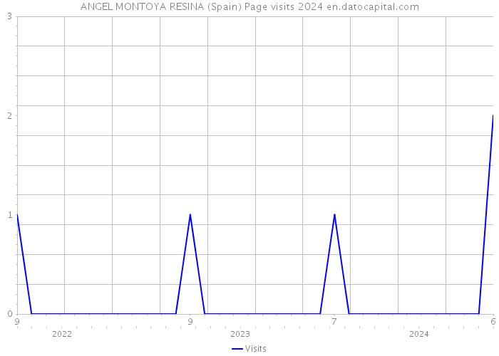ANGEL MONTOYA RESINA (Spain) Page visits 2024 
