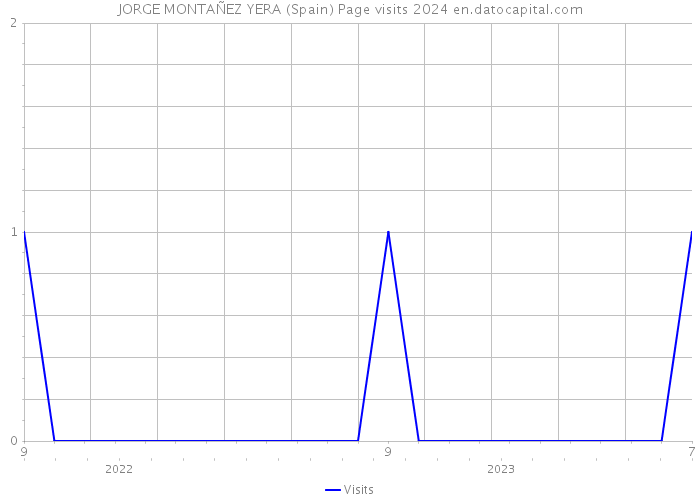 JORGE MONTAÑEZ YERA (Spain) Page visits 2024 