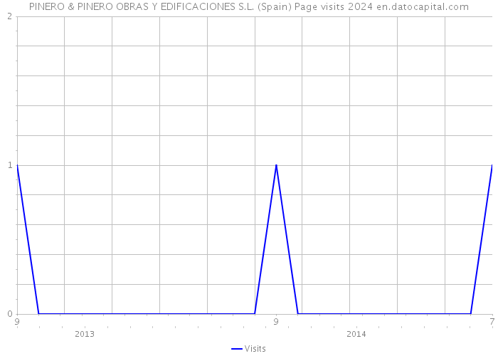 PINERO & PINERO OBRAS Y EDIFICACIONES S.L. (Spain) Page visits 2024 