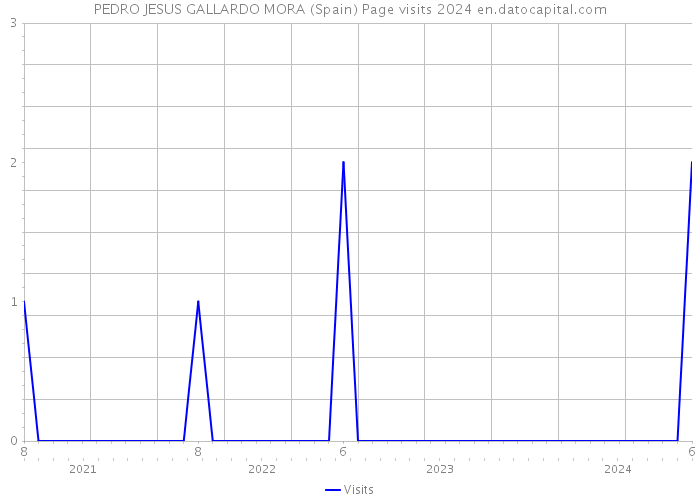 PEDRO JESUS GALLARDO MORA (Spain) Page visits 2024 